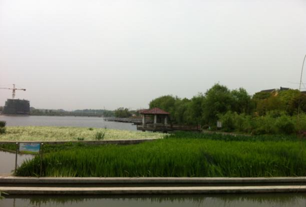 青竹湖3