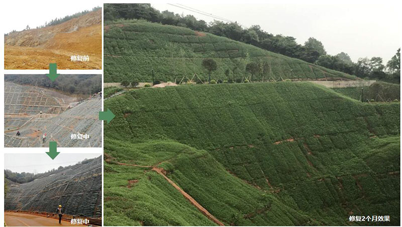 醴陵市国土资源局后山护坡生态覆绿项目