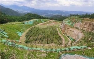 新邵县三郎庙铅锌锑矿和鸿发采石场综合治理与生态修复工程项目（EPC）总承包