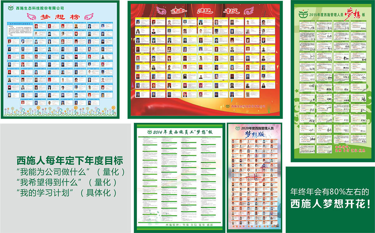 梦想板625