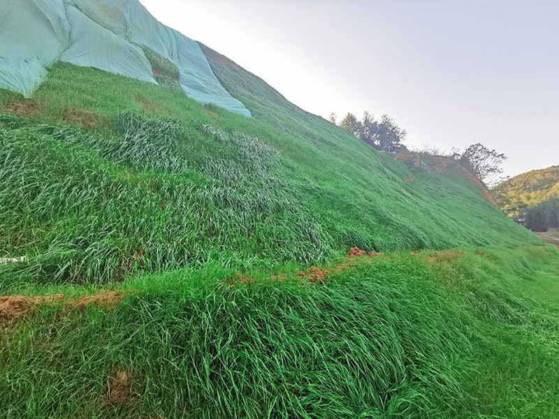 常德市鼎城区石板滩镇石煤矿区伍房石煤矿（防治I区）生态环境修复工程