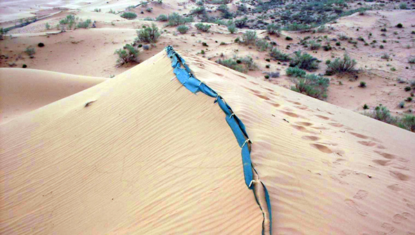 施工在流动沙丘沙脊线上的八字形网笼沙障可牢牢固定住流动沙丘