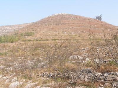 益阳市泥江口石子塘矿山生态修复——国家油茶林示范基地