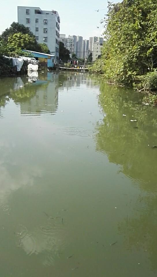 珠海市南屏西渠污水生态治理