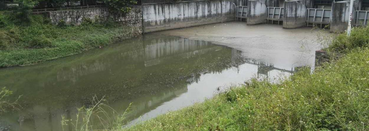 深圳市新洲河出海口河道生态修复污水处理