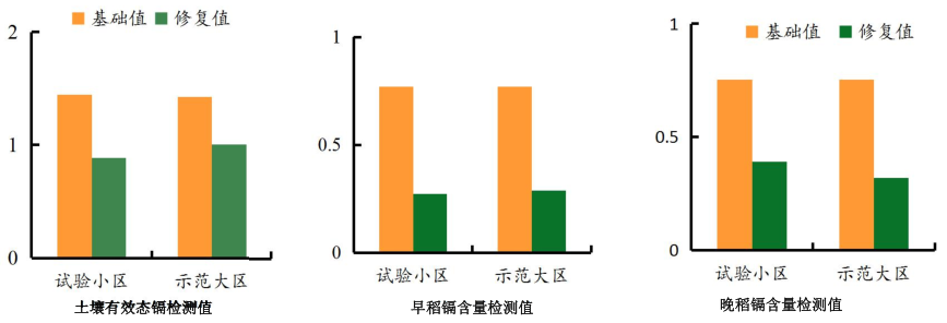 湖南省郴州市苏仙区千亩农田镉污染修复项目