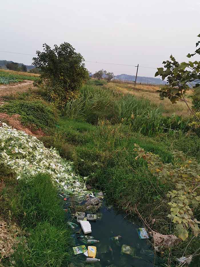 衡阳县蒸水流域山水林田湖草生态保护修复工程试点项目